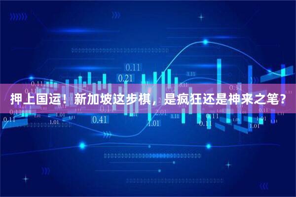 押上国运！新加坡这步棋，是疯狂还是神来之笔？