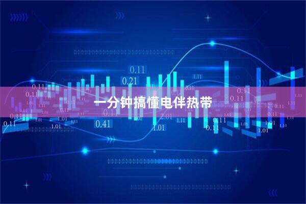 一分钟搞懂电伴热带