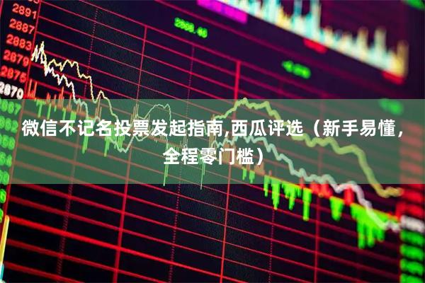 微信不记名投票发起指南,西瓜评选（新手易懂，全程零门槛）