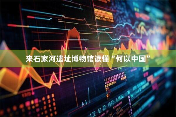 来石家河遗址博物馆读懂“何以中国”