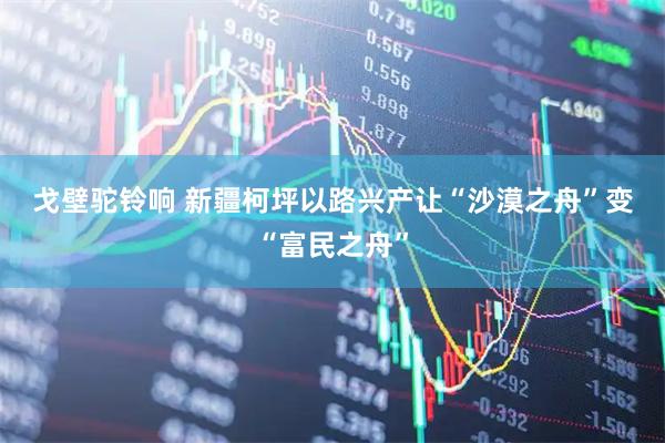 戈壁驼铃响 新疆柯坪以路兴产让“沙漠之舟”变“富民之舟”